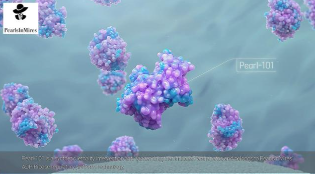 스크린샷 2025-01-08 105958.png